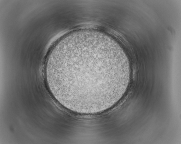 X0000112861164200910021306