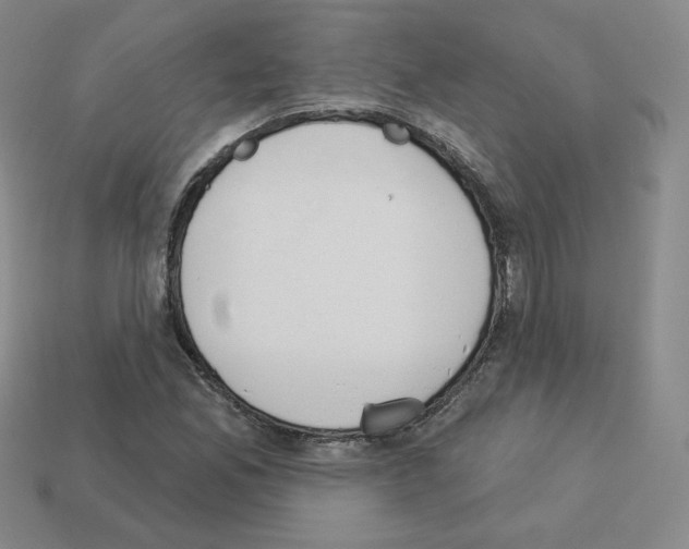 X0000112861165200910021306
