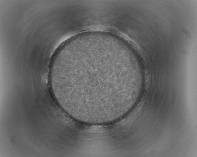 X0000112861166200910021306