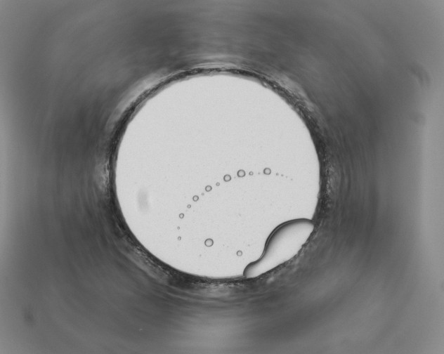 X0000112861167200910021306