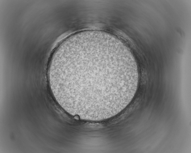 X0000112861168200910021306