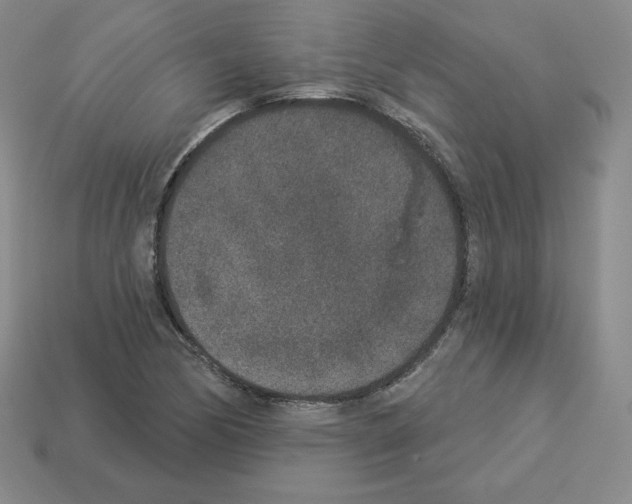X0000112861170200910021306