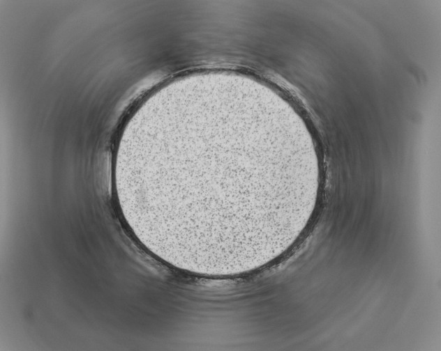 X0000112861171200910021306