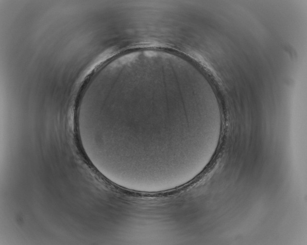 X0000112861173200910021306