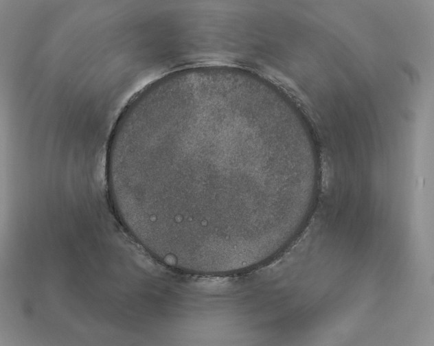X0000112861174200910021306