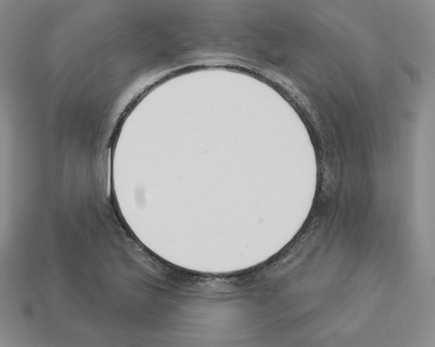 X0000112861175200910021305