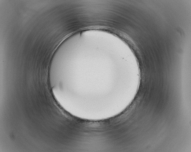 X0000112861177200910021305
