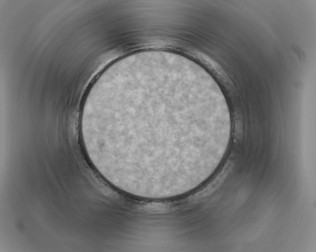 X0000112861178200910021305