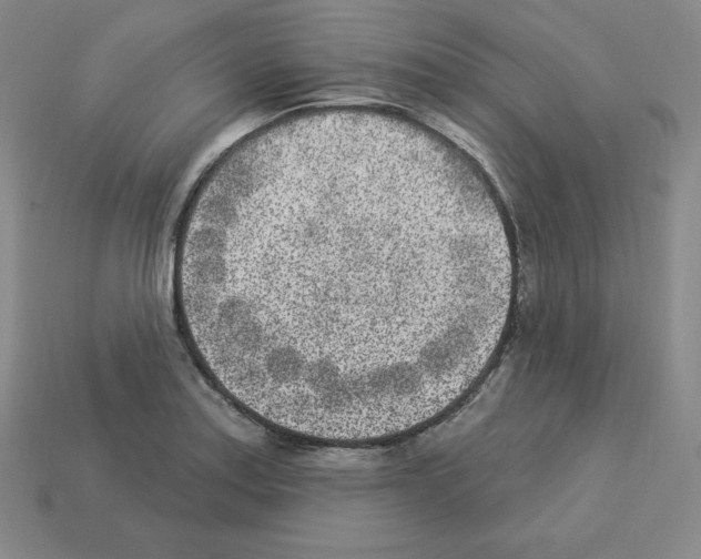 X0000112861179200910021305