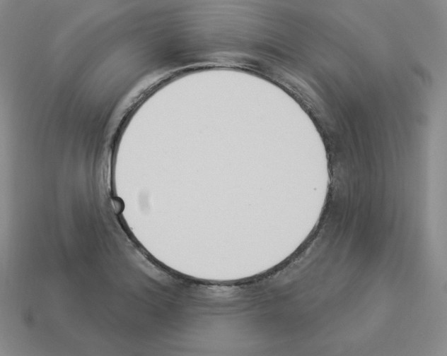 X0000112861180200910021305