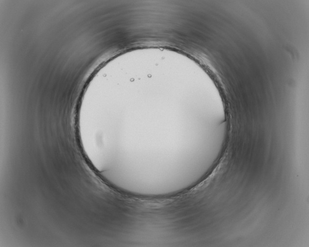 X0000112861181200910021305