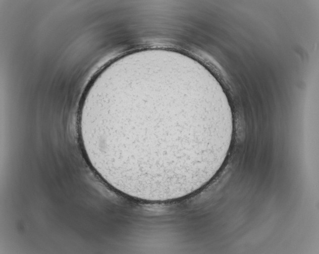 X0000112861182200910021305