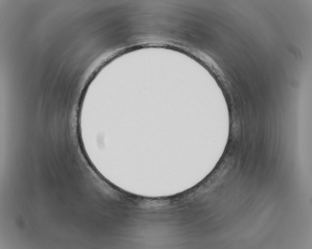 X0000112861183200910021305