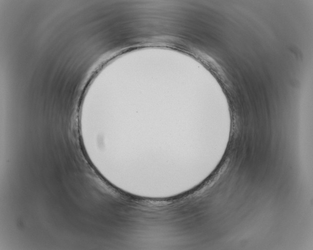 X0000112861184200910021305