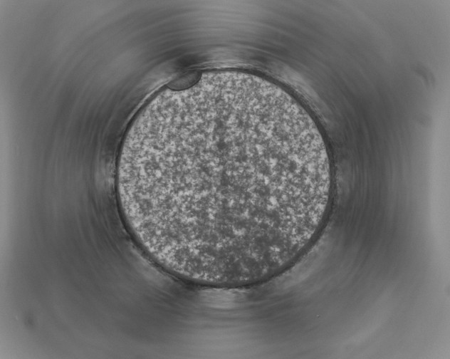 X0000112861185200910021305