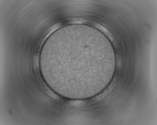 X0000112861186200910021305