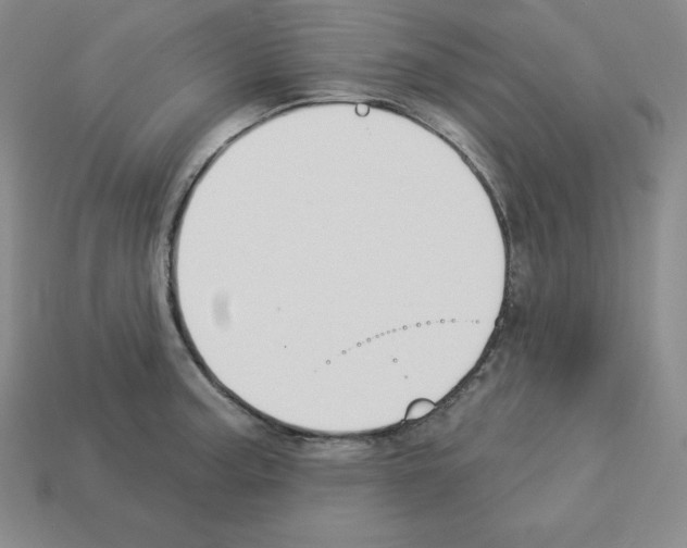 X0000112861187200910021305