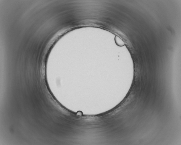 X0000112861188200910021305
