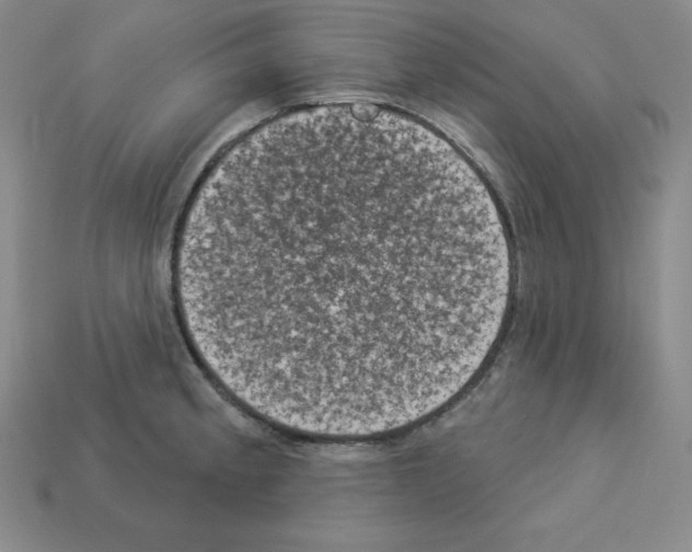 X0000112861189200910021305