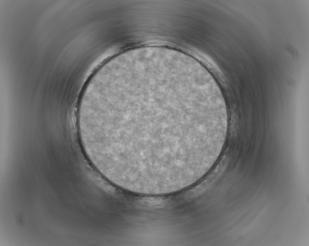 X0000112861190200910021305