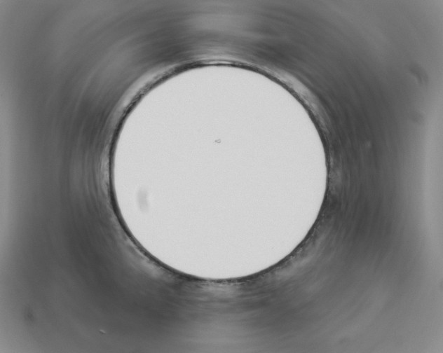 X0000112861191200910021305