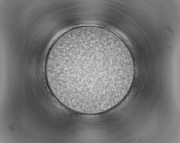 X0000112861192200910021305