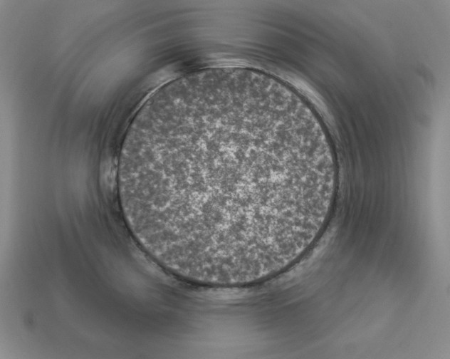 X0000112861193200910021305