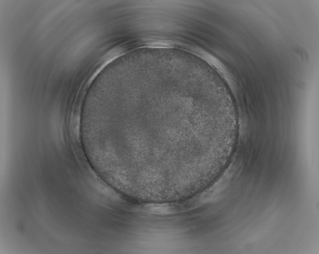 X0000112861194200910021305