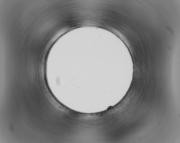 X0000112861195200910021305