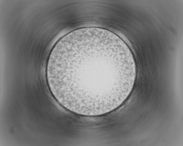 X0000112861197200910021305