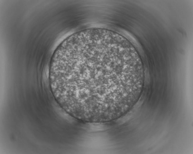 X0000112861198200910021305