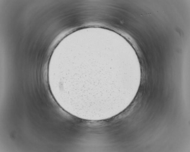 X0000112861199200910021305