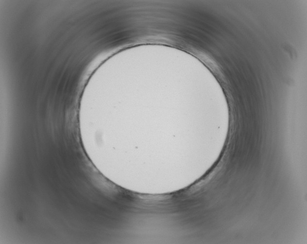X0000112861200200910021305