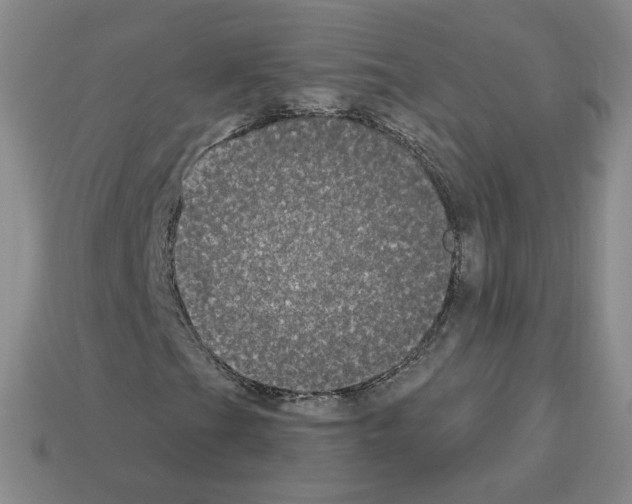 X0000112861201200910021305