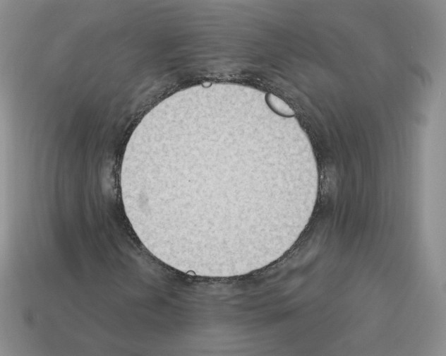 X0000112861202200910021305