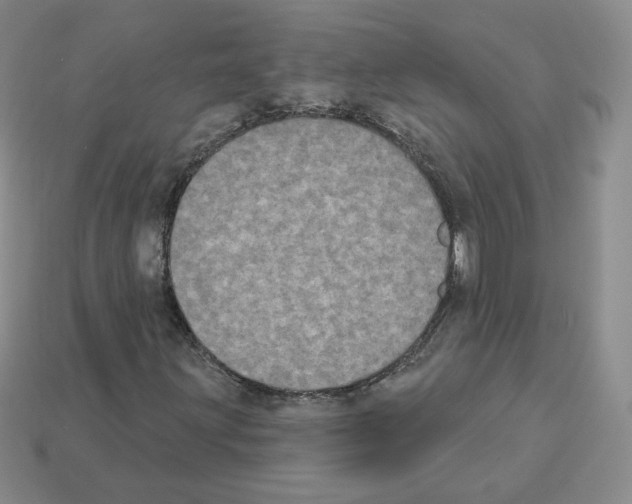 X0000112861203200910021305