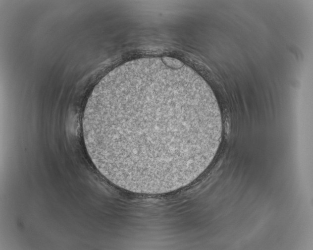 X0000112861204200910021305