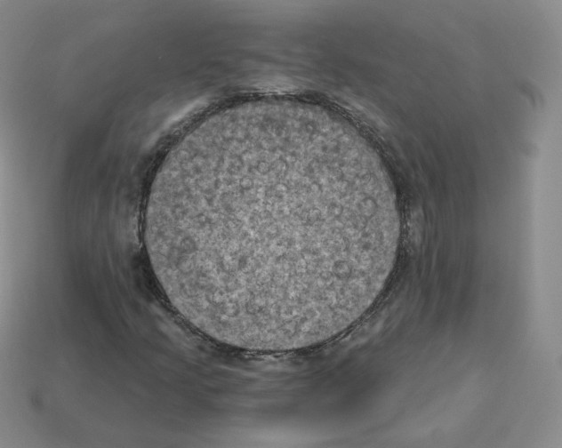 X0000112861205200910021305