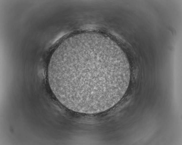 X0000112861206200910021305