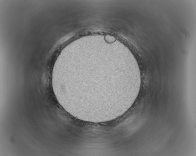 X0000112861207200910021305