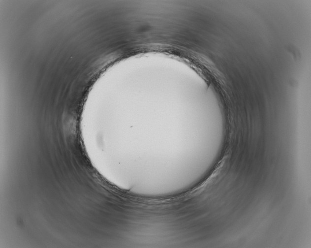 X0000112861209200910021305