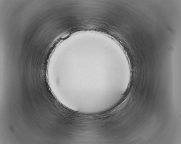 X0000112861210200910021305
