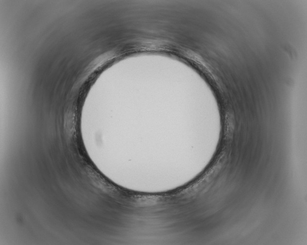 X0000112861211200910021305