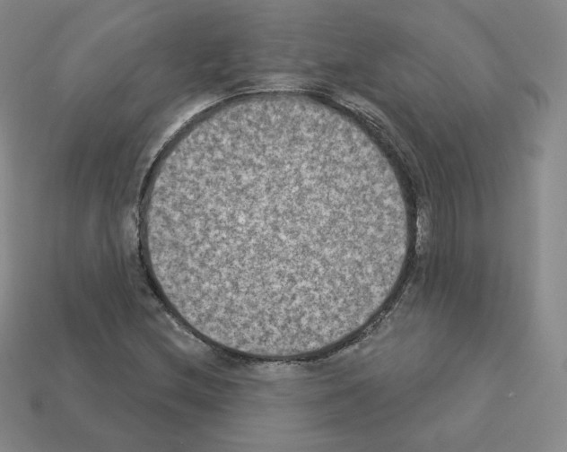 X0000112861212200910021305