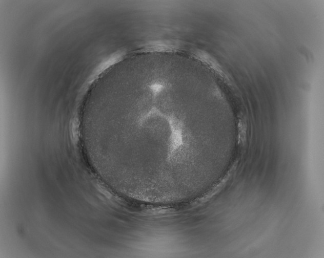 X0000112861213200910021305