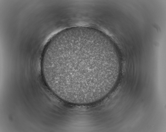 X0000112861214200910021305
