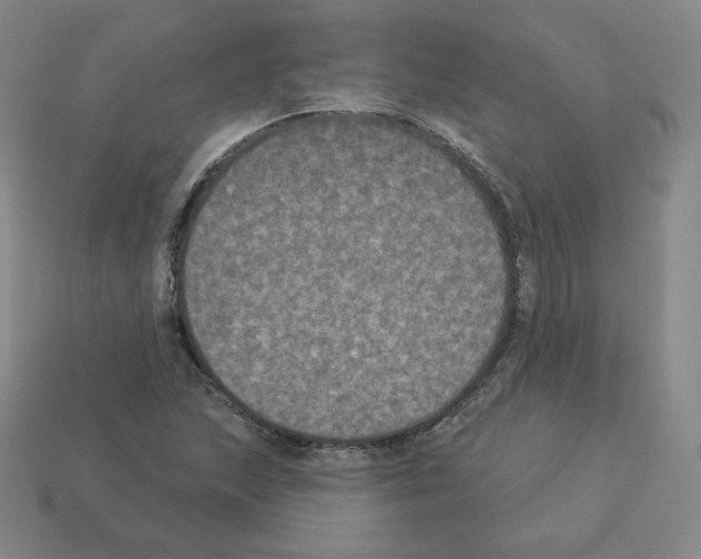 X0000112861215200910021305