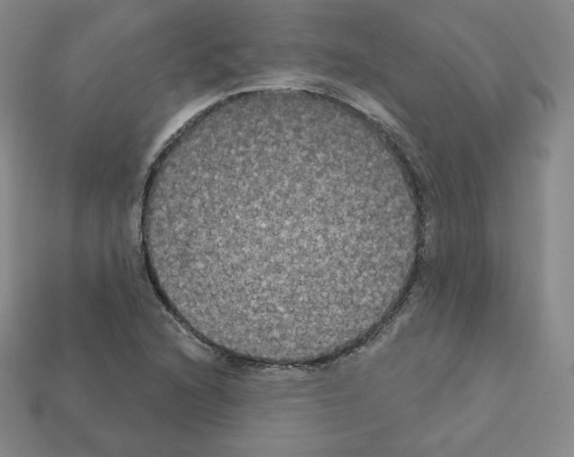 X0000112861216200910021305