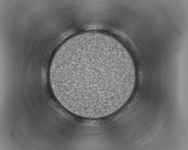 X0000112861217200910021305