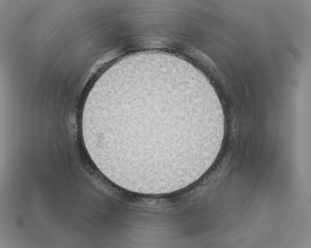 X0000112861218200910021305